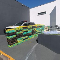 Polícia Rodoviária apreende mais de 1,3 tonelada de drogas escondidas em estofados em Piraju